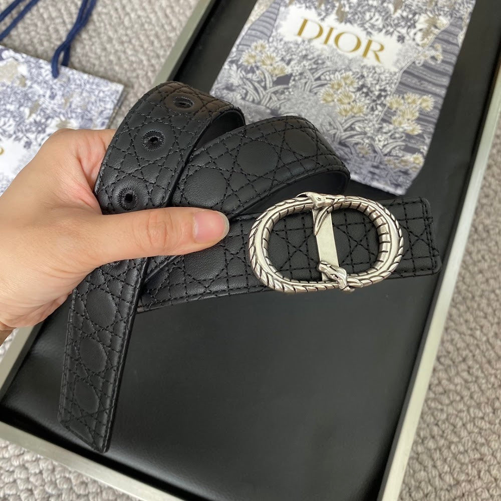 Dragons Bags Diorn Luxury Belt --107753
