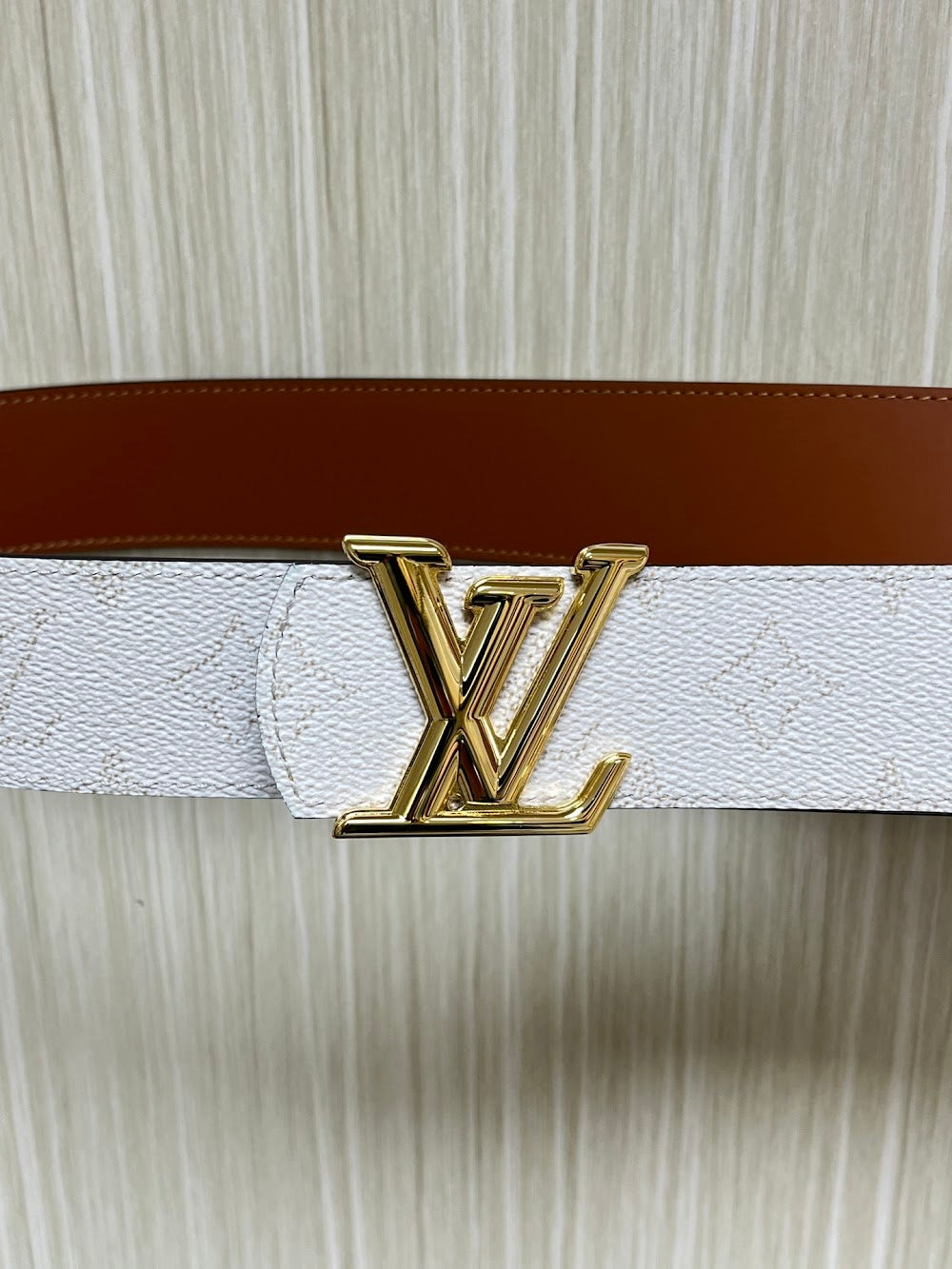 Dragons Bags ln Luxury Belt --100562