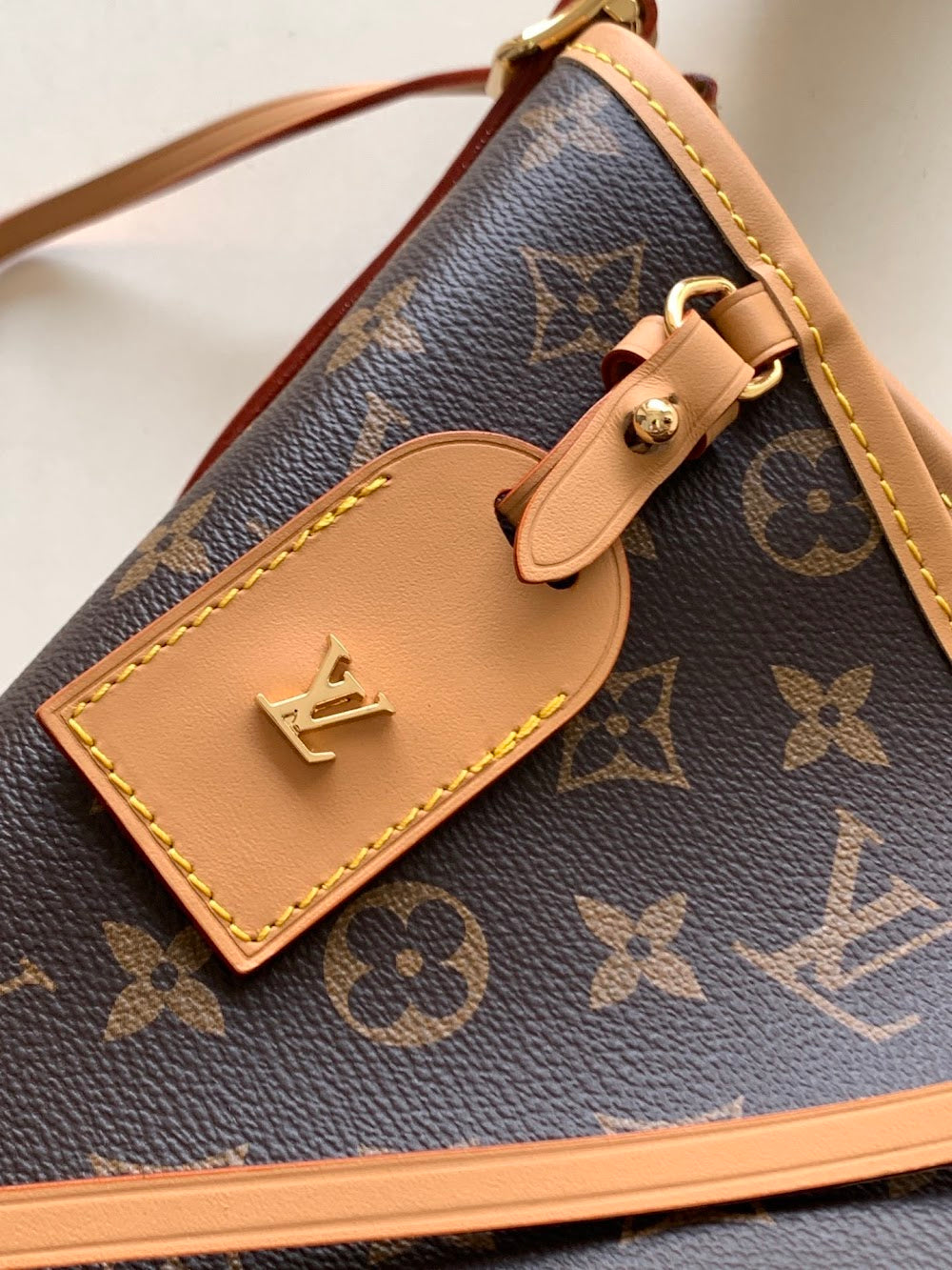 Dragons Bags LVn Luxury Bag --81159