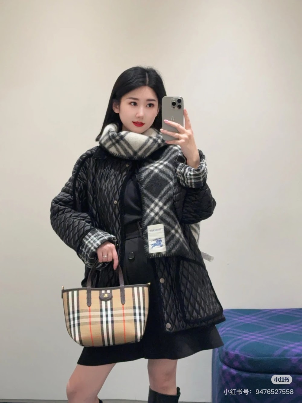 Dragons Bags Burberryn Luxury Bag --92954
