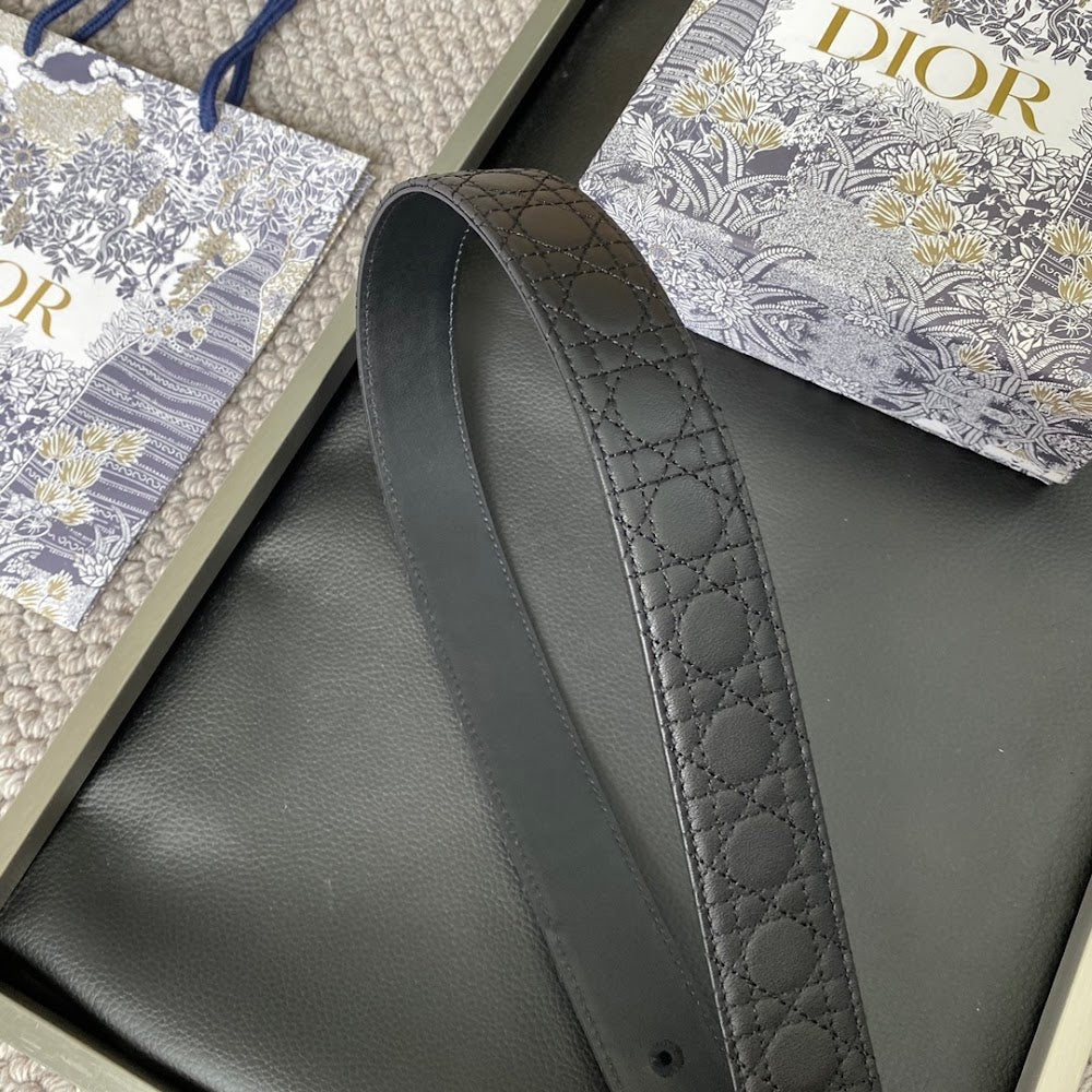 Dragons Bags Diorn Luxury Belt --104899