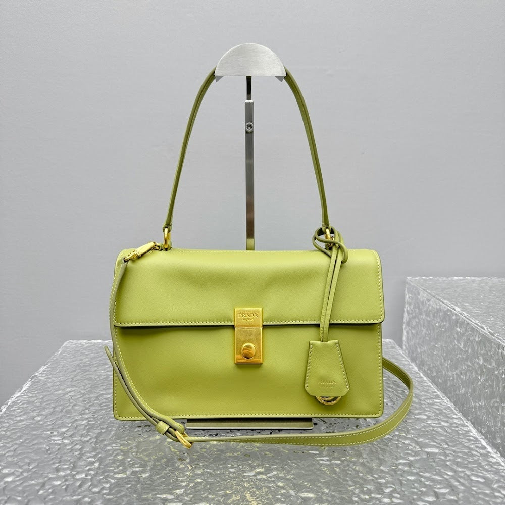 Dragons Bags Pradn Luxury Bag --101808