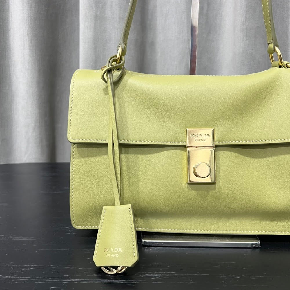Dragons Bags Pradn Luxury Bag --101810