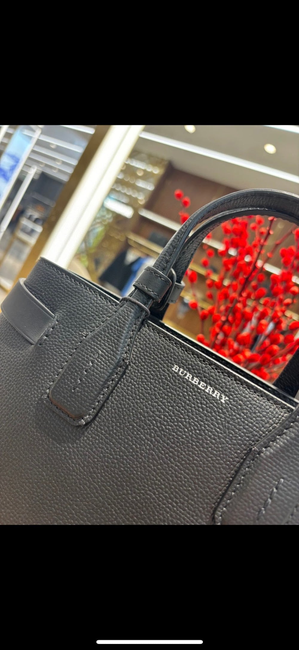 Dragons Bags Burberryn Luxury Bag --92166