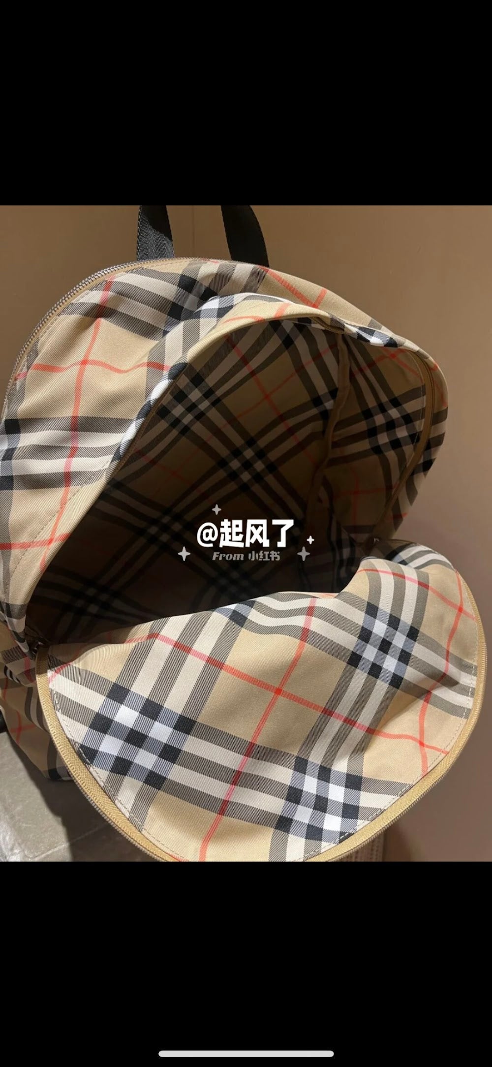 Dragons Bags Burberryn Luxury Bag --93129