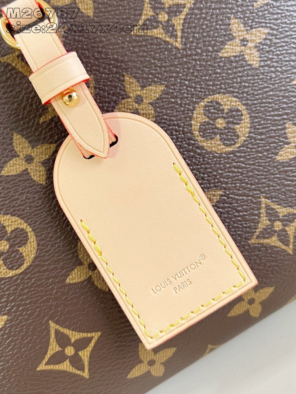 Dragons Bags ln Luxury Bag --95667