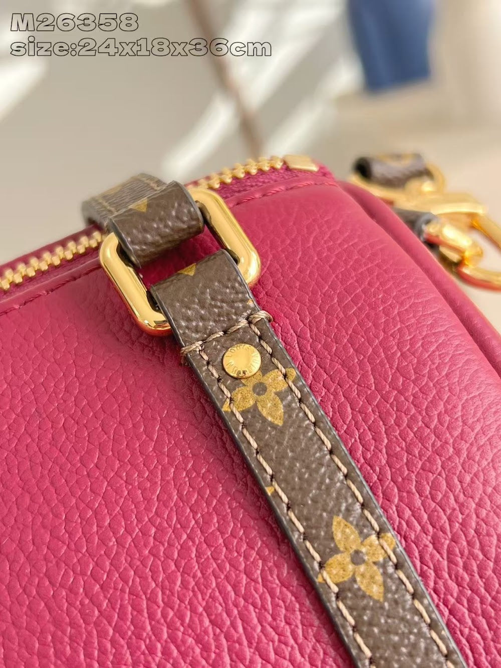 Dragons Bags ln Luxury Bag --95884