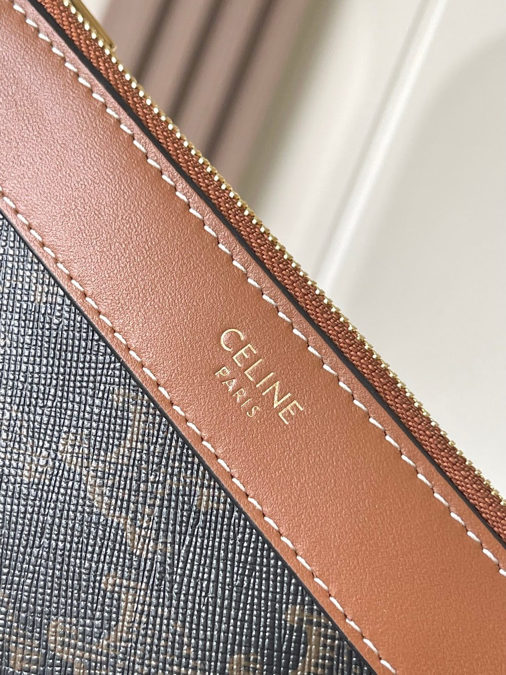 Dragons Bags Celine Luxury Bag --112307