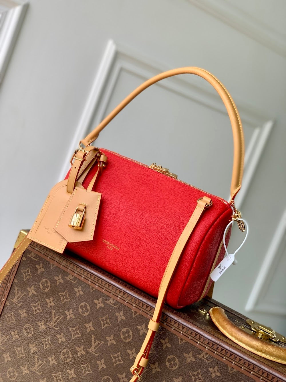 Dragons Bags ln Luxury Bag --96700