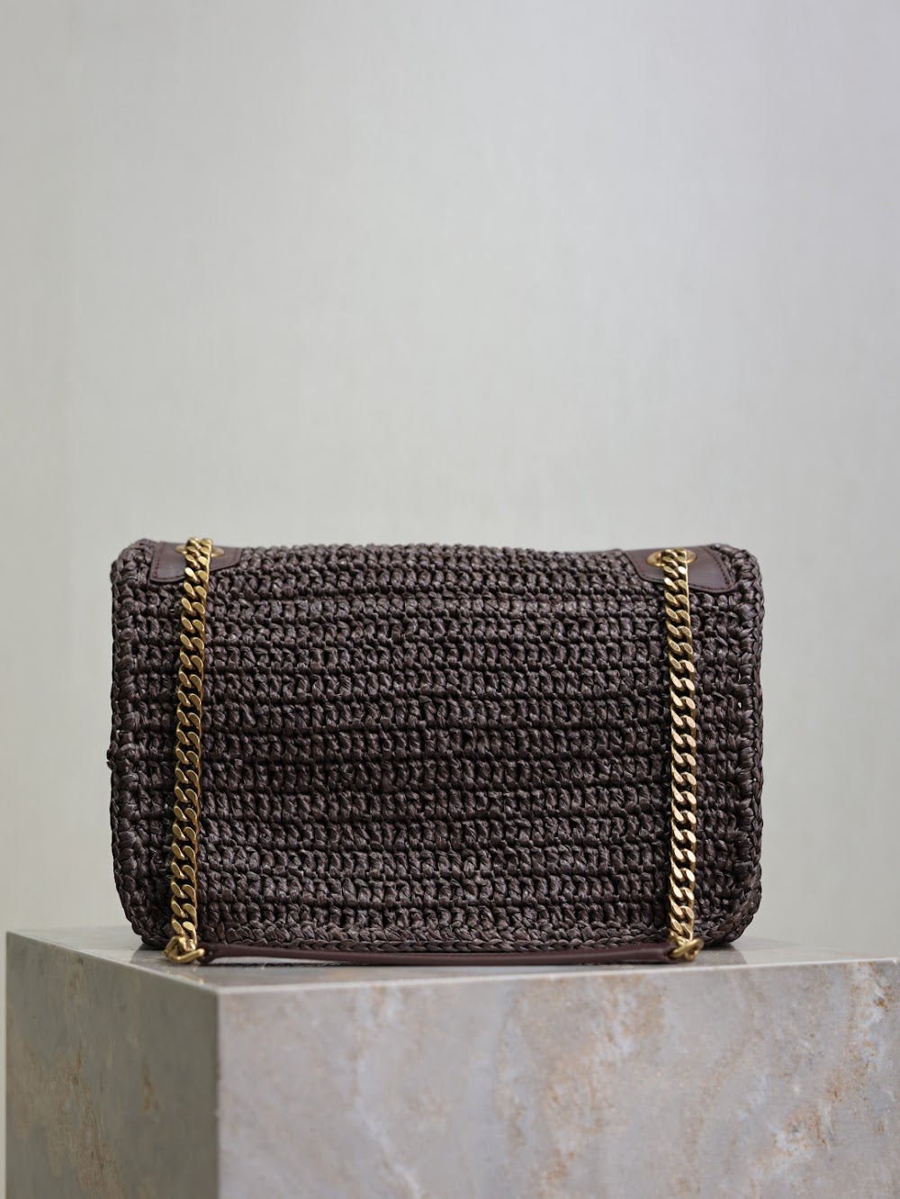 Dragons Bags YSLn Luxury Bag --119724