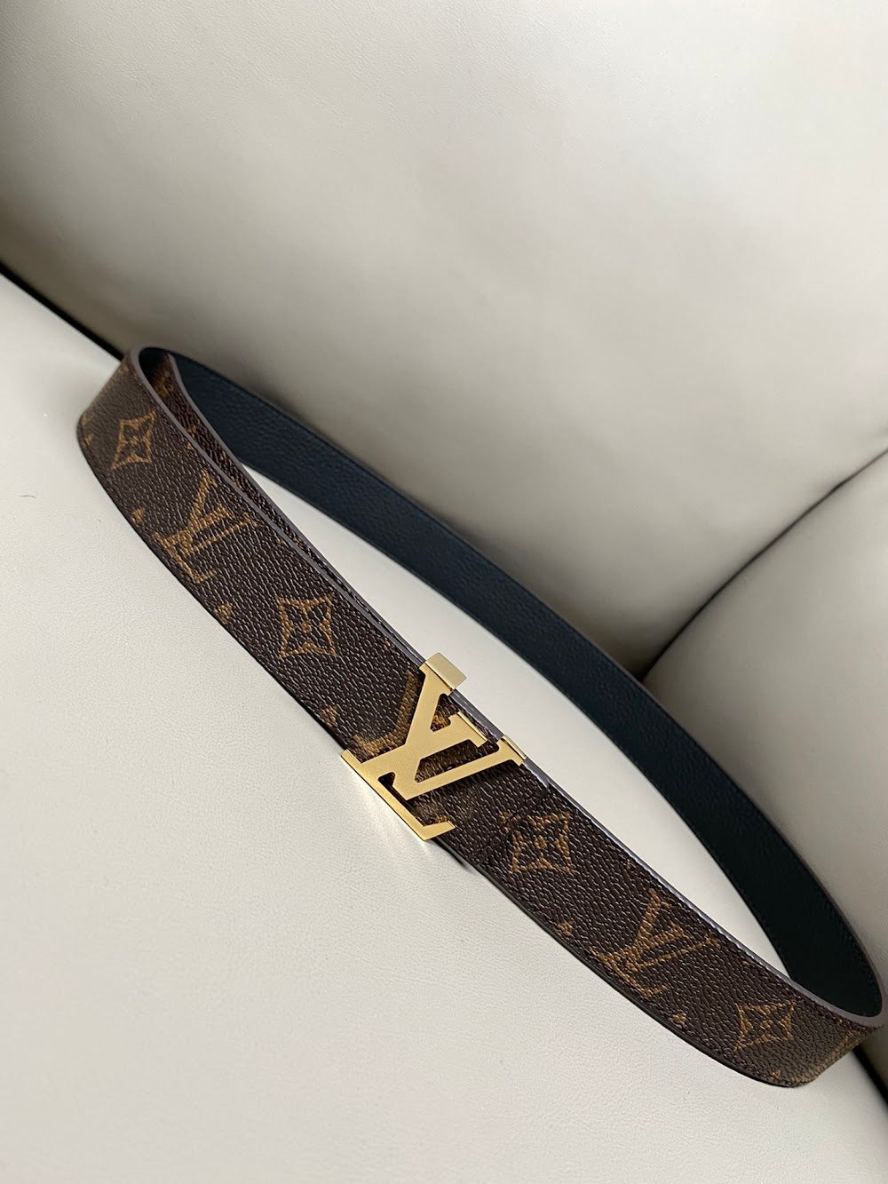 Dragons Bags ln Luxury Belt --106678