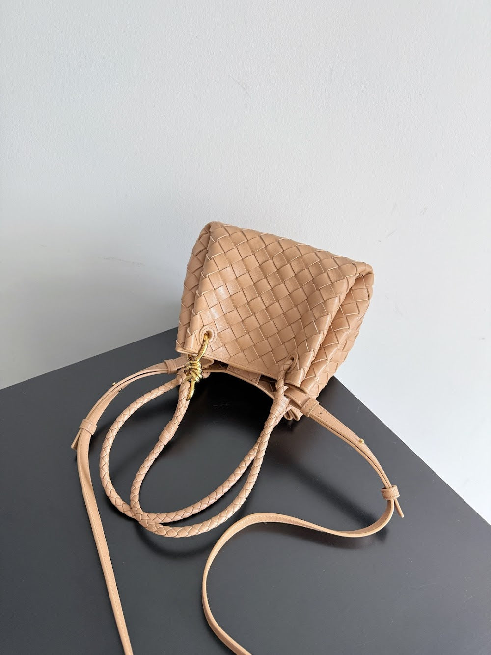 Dragons Bags Bottegan Luxury Bag --91118