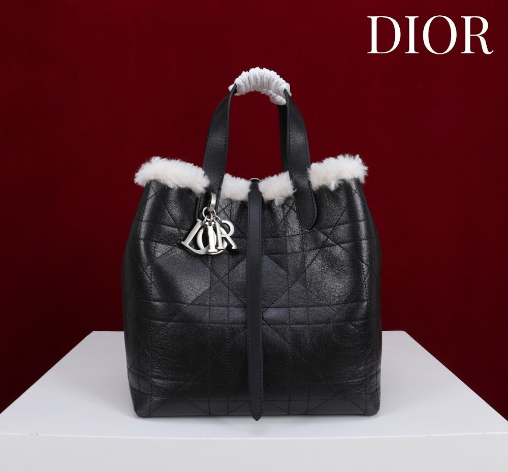 Dragons BagsDiorn Luxury Bag --114887