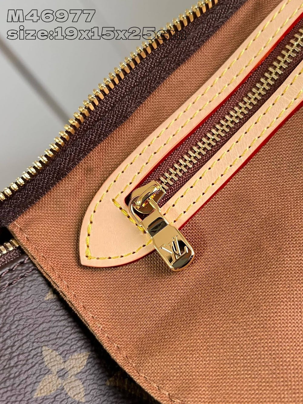 Dragons Bags ln Luxury Bag --96366