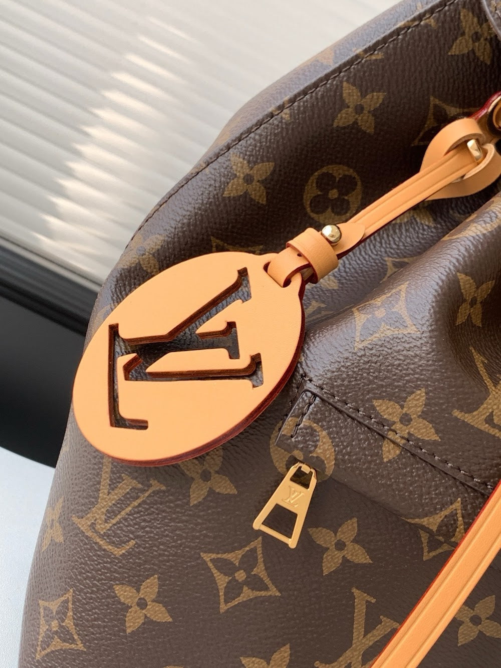 Dragons Bags LVn Luxury Bag --79591