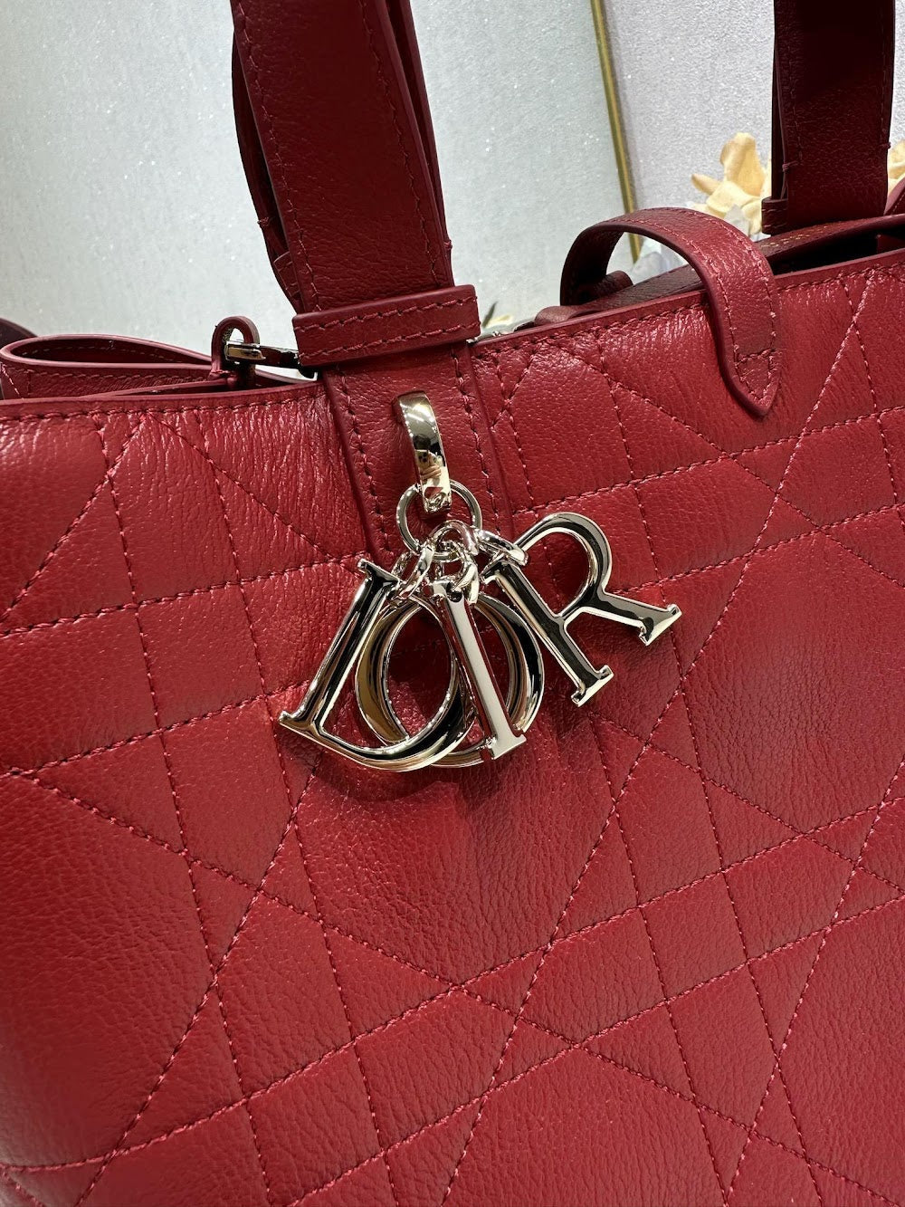 Dragons BagsDiorn Luxury Bag --116135