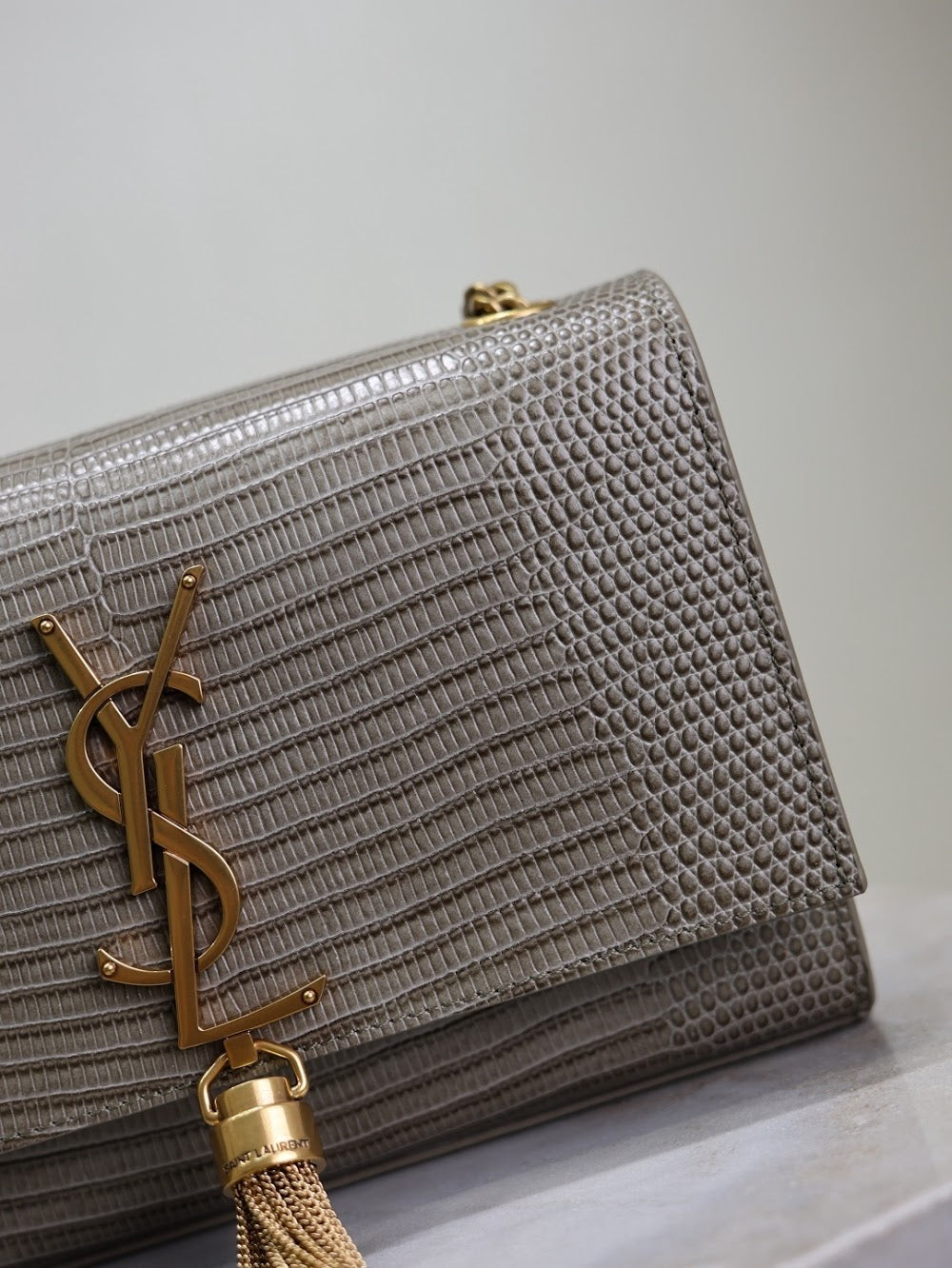 Dragons Bags YSLn Luxury Bag --119164