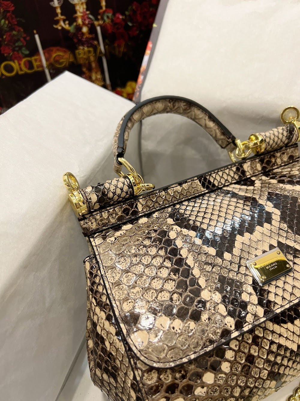 Dragons Bags DGn Luxury Bag --93287
