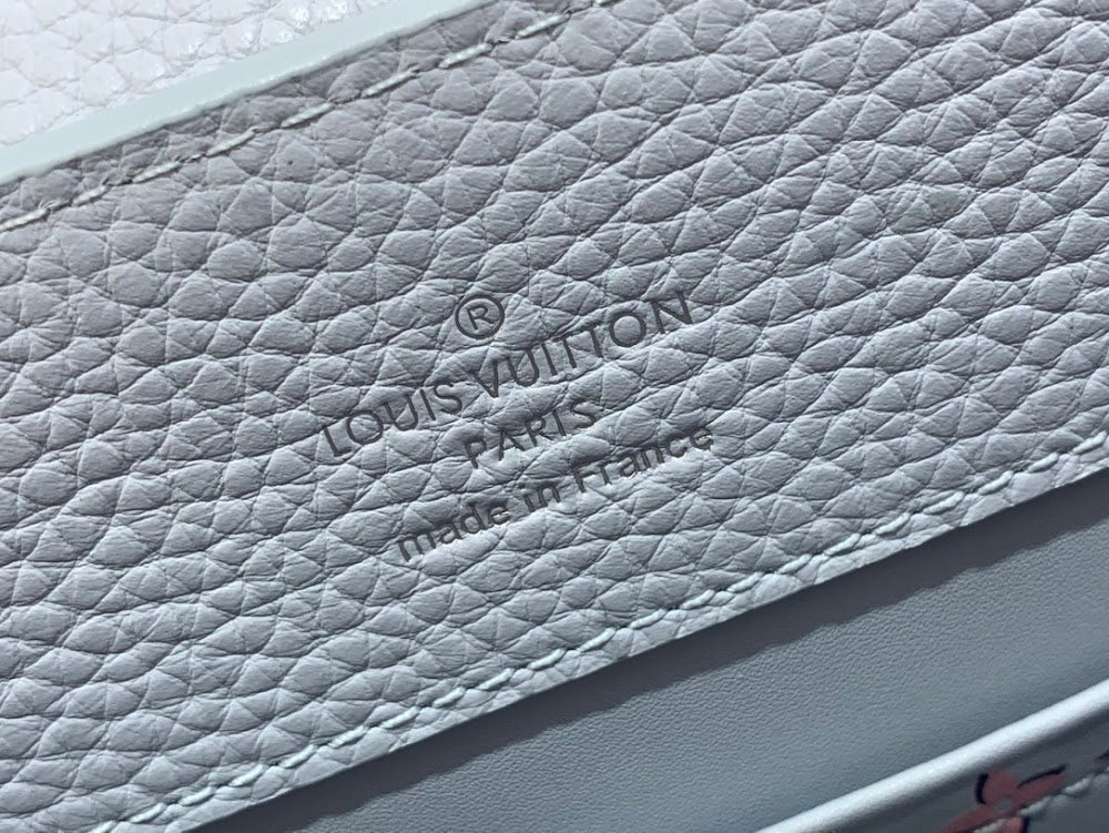 Dragons Bags ln Luxury Bag --56424