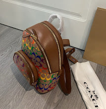 new-luxury-designer-bags-nm6518