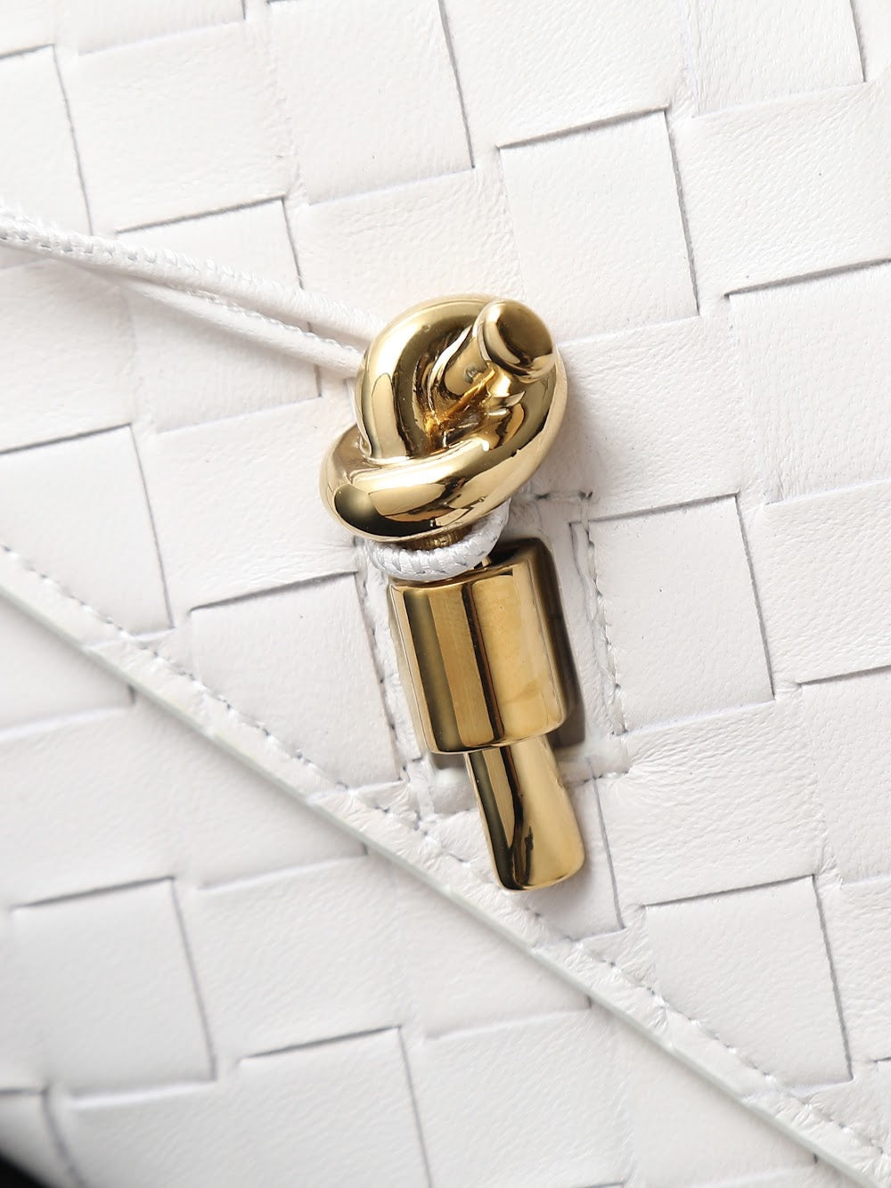 Dragons Bags Bottegan Luxury Bag --91386