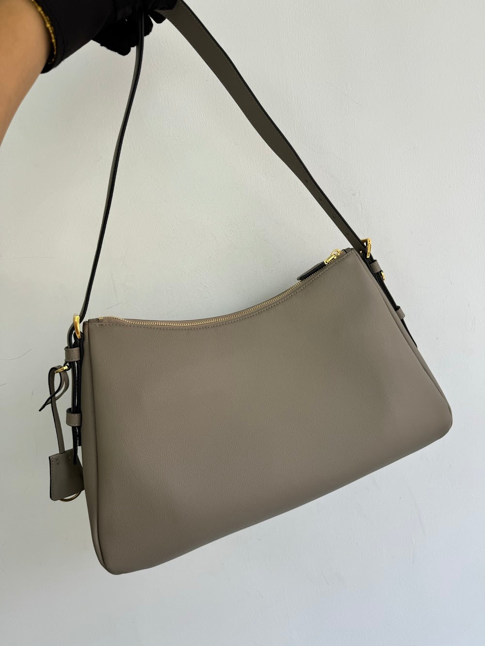 Dragons Bags Pradn Luxury Bag --102560