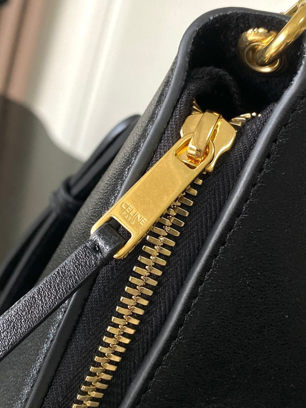 Dragons Bags Celine Luxury Bag --112563