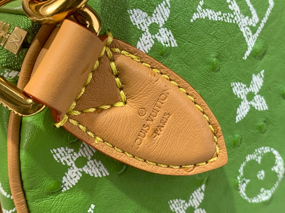 Dragons Bags ln Luxury Bag --97588