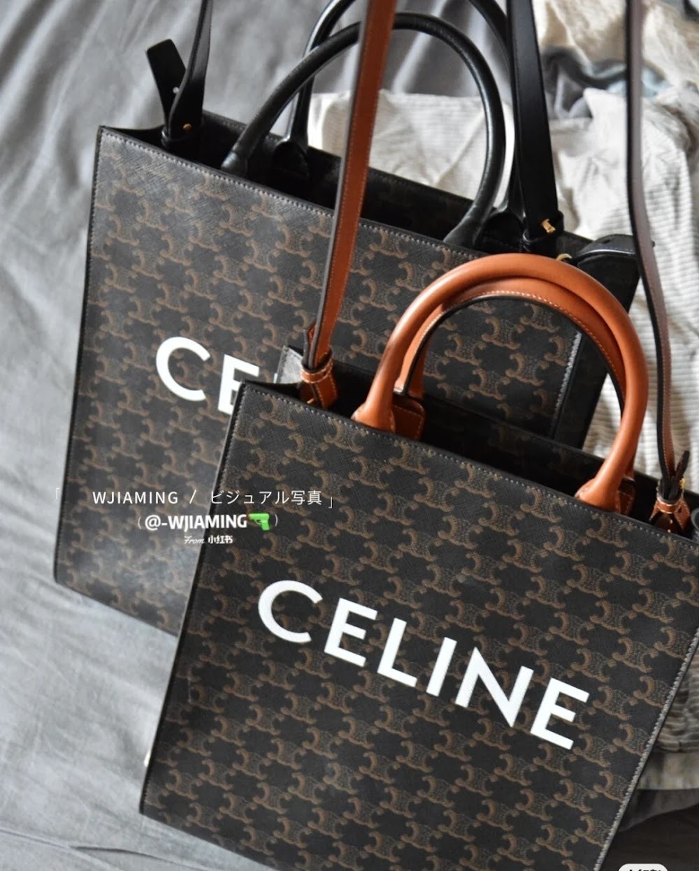 Dragons Bags Celine Luxury Bag --112629