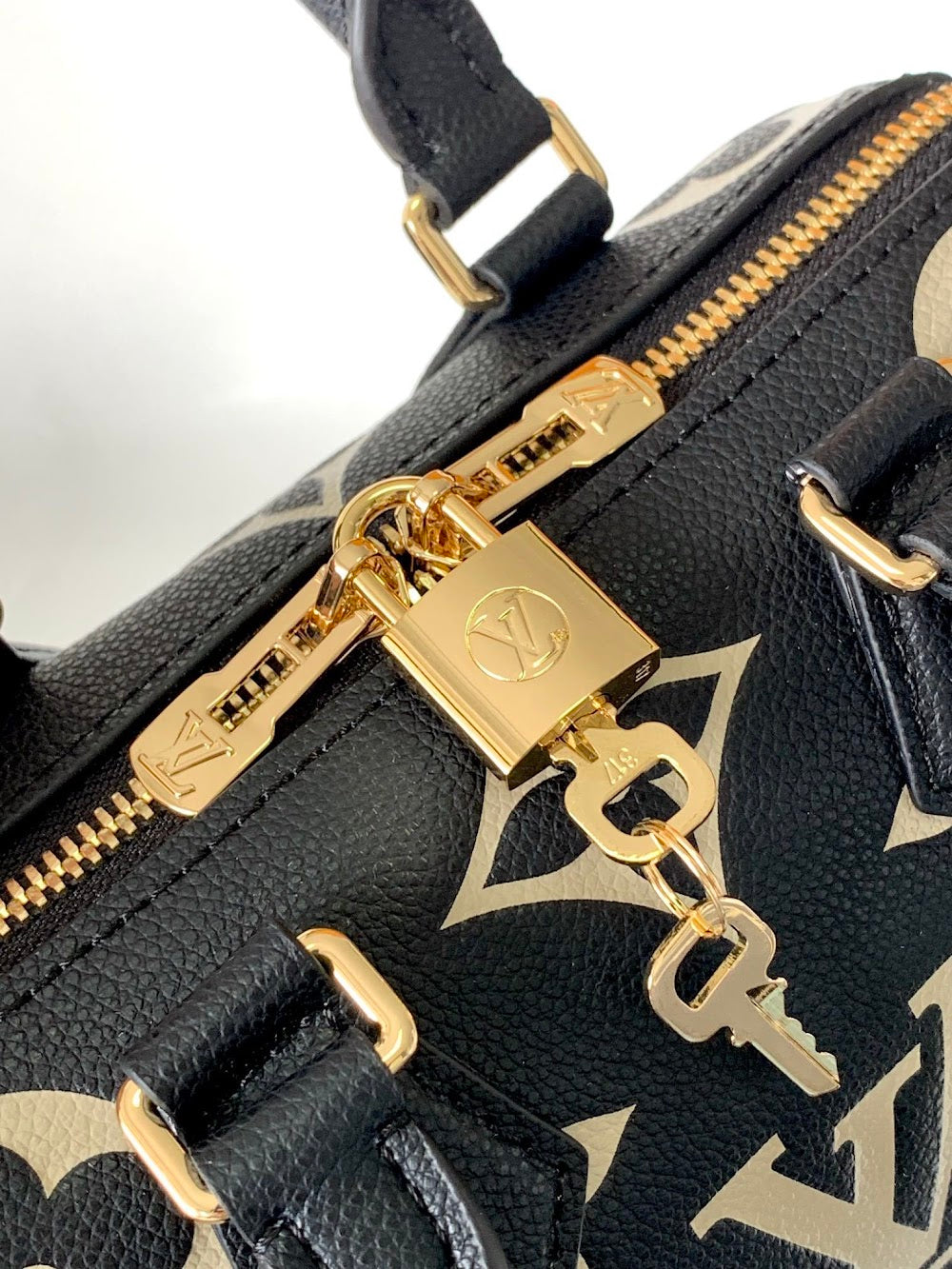 Dragons Bags LVn Luxury Bag --78997