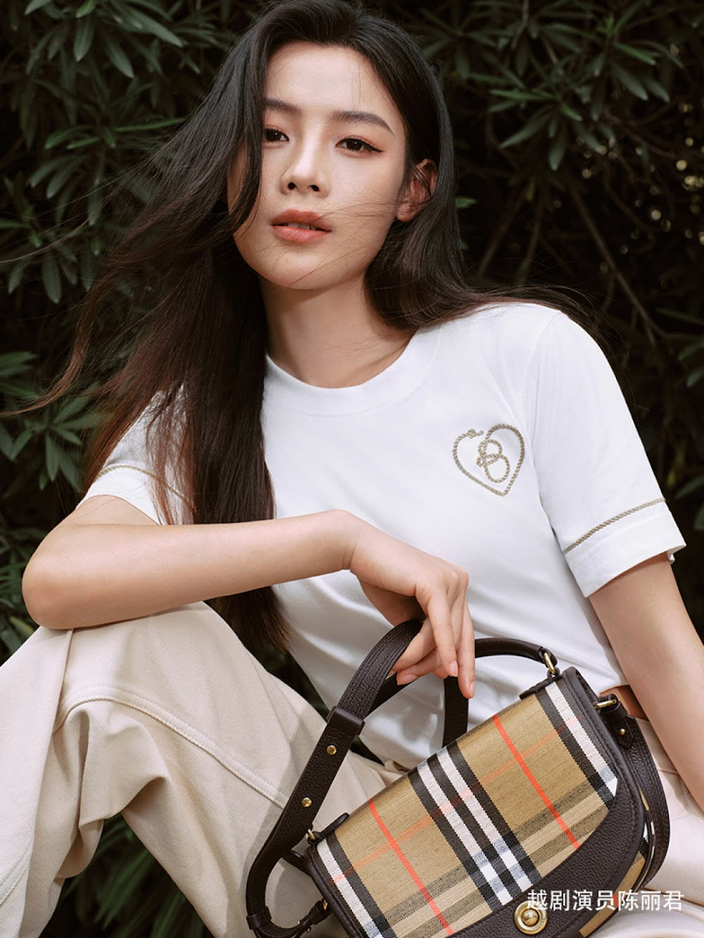 Dragons Bags Burberryn Luxury Bag --92674