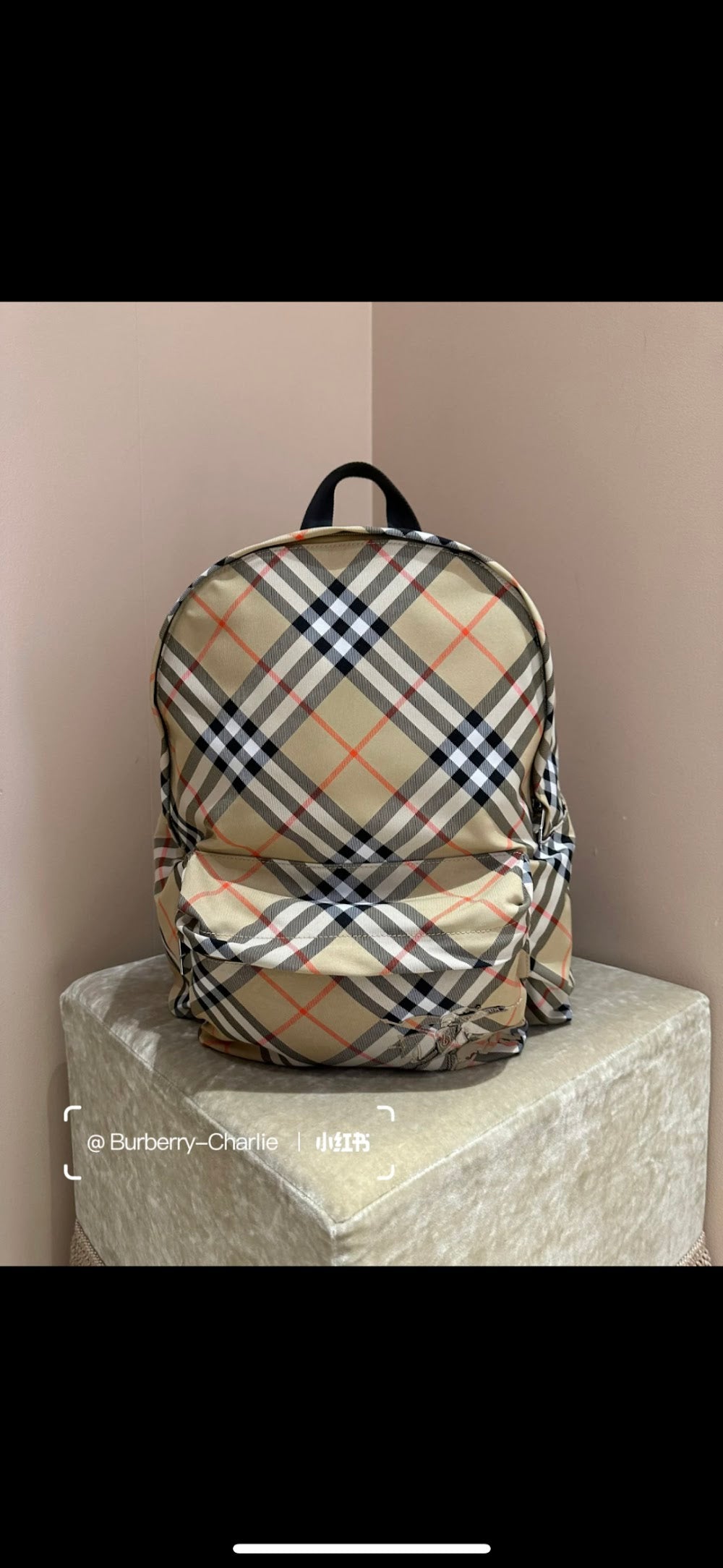 Dragons Bags Burberryn Luxury Bag --93077