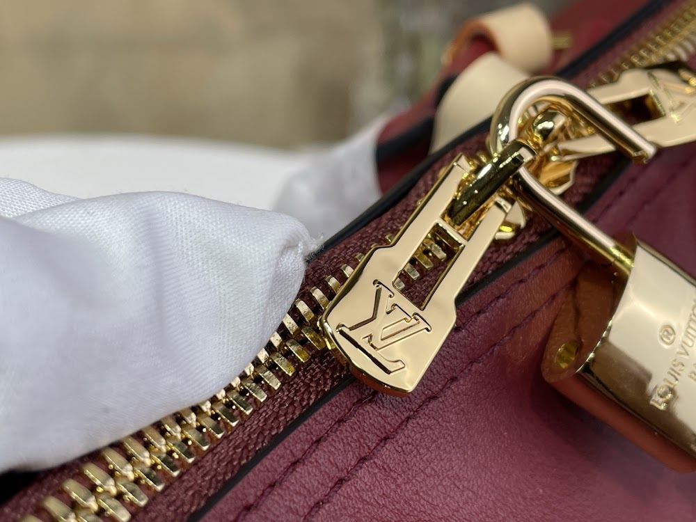 Dragons Bags ln Luxury Bag --95653