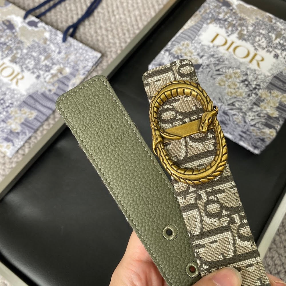 Dragons Bags Diorn Luxury Belt --104888