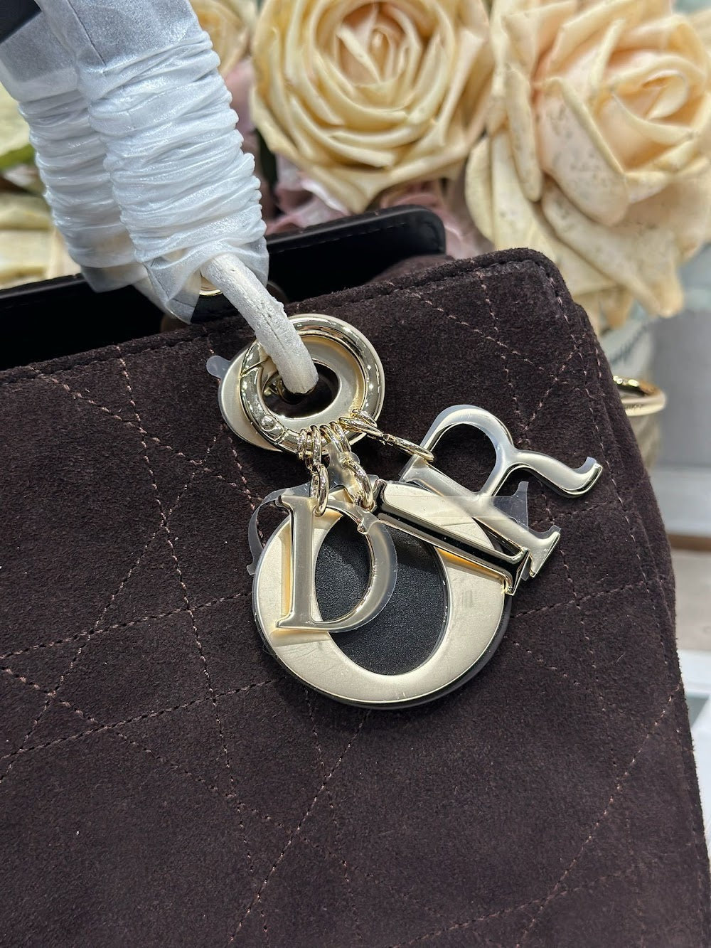 Dragons BagsDiorn Luxury Bag --115569