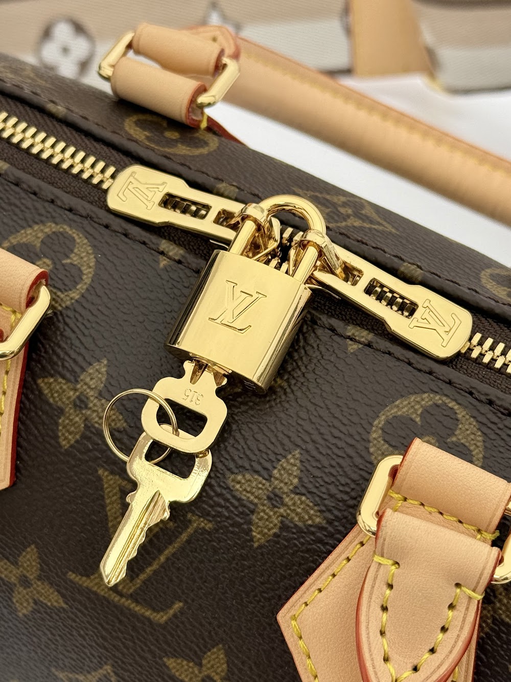 Dragons Bags LVn Luxury Bag --80781