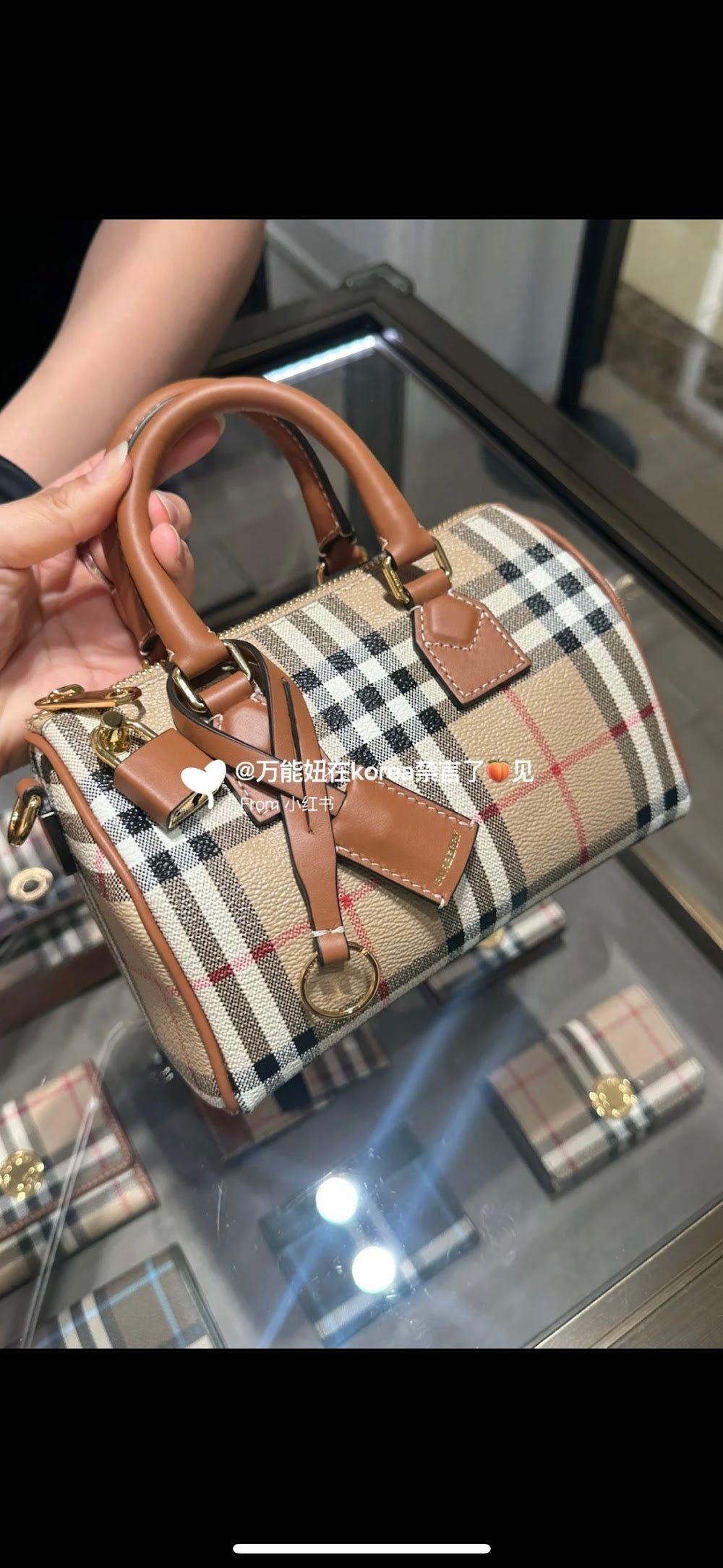 Dragons Bags Burberryn Luxury Bag --92039