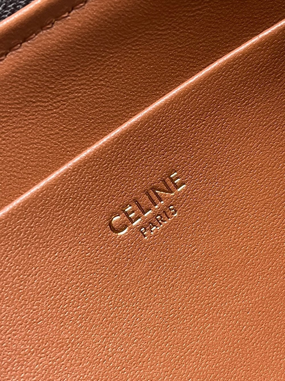 Dragons Bags Celine Luxury Bag --112136
