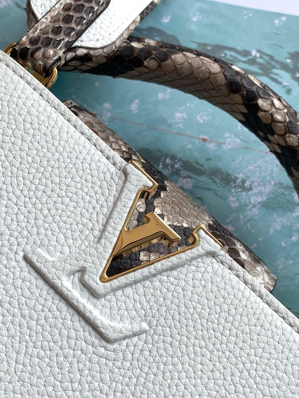 Dragons Bags ln Luxury Bag --56539