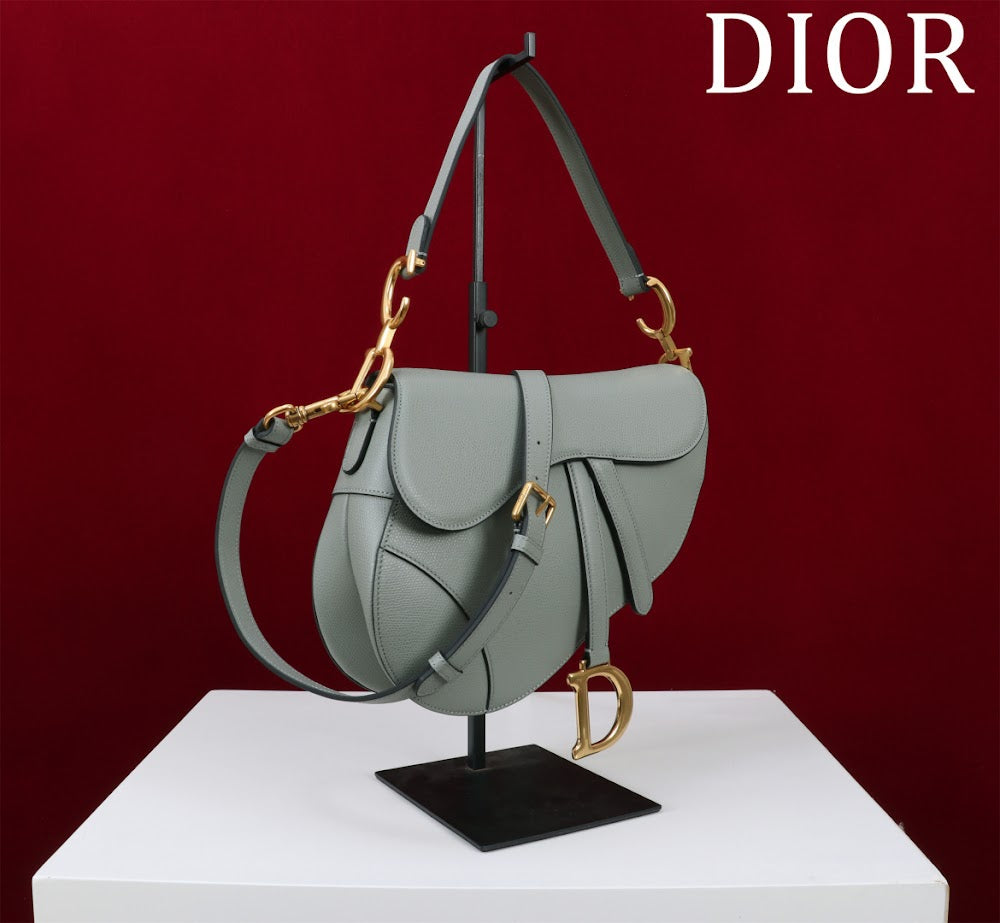 Dragons BagsDiorn Luxury Bag --116509