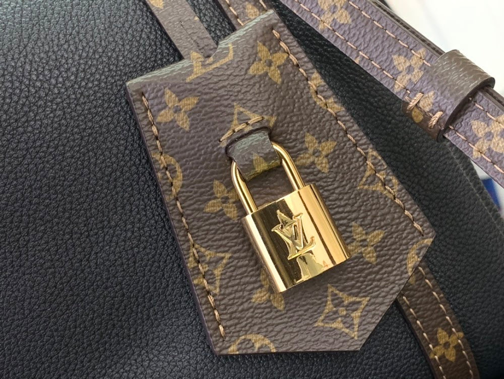 Dragons Bags ln Luxury Bag --96735