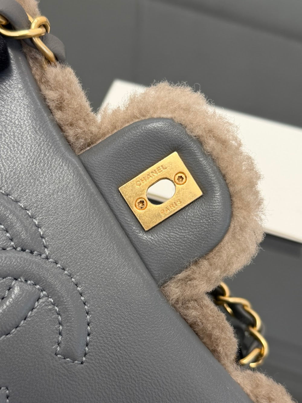 Dragons Bags CHn Luxury Bag --112853