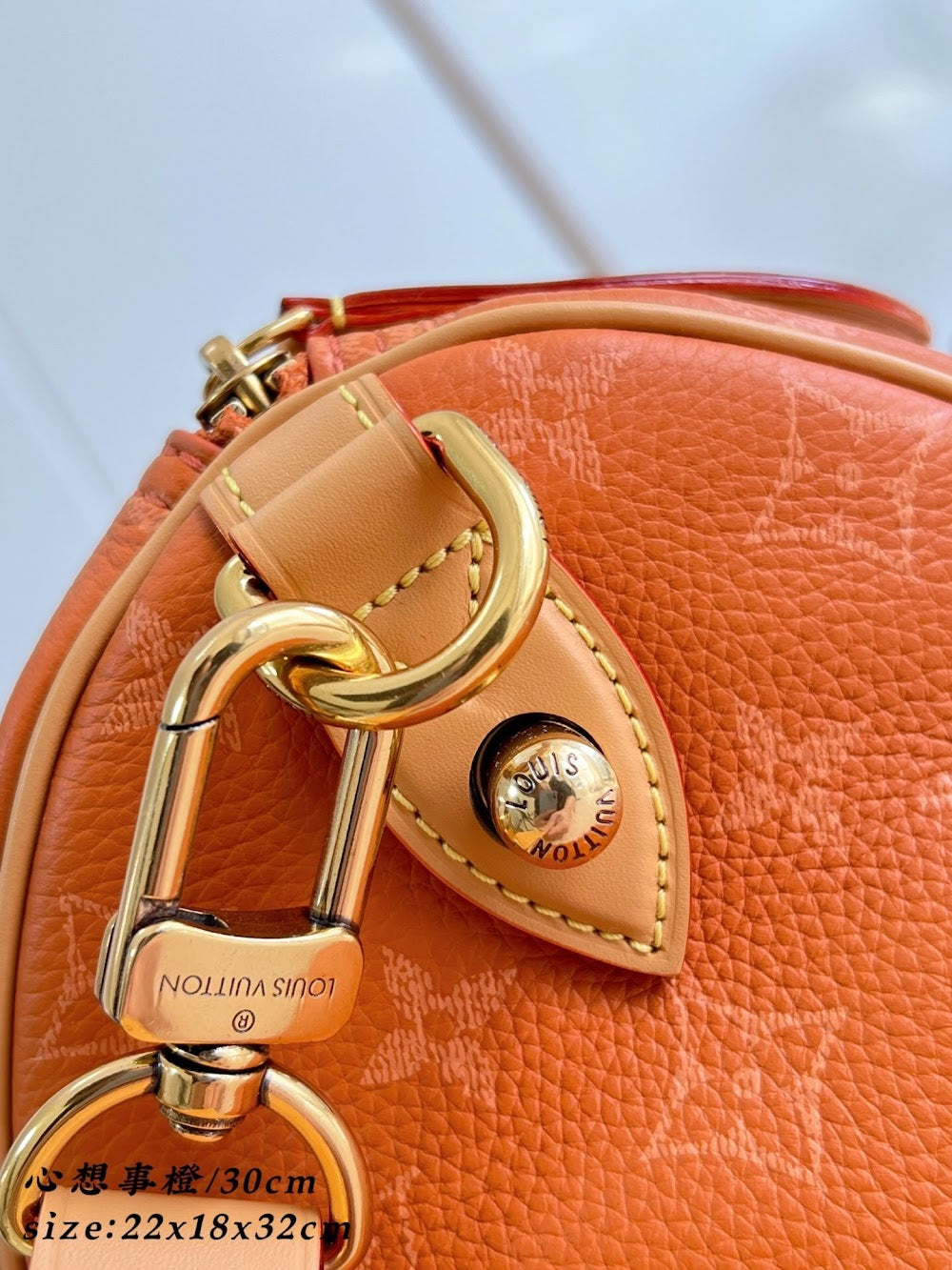 Dragons Bags ln Luxury Bag --96532