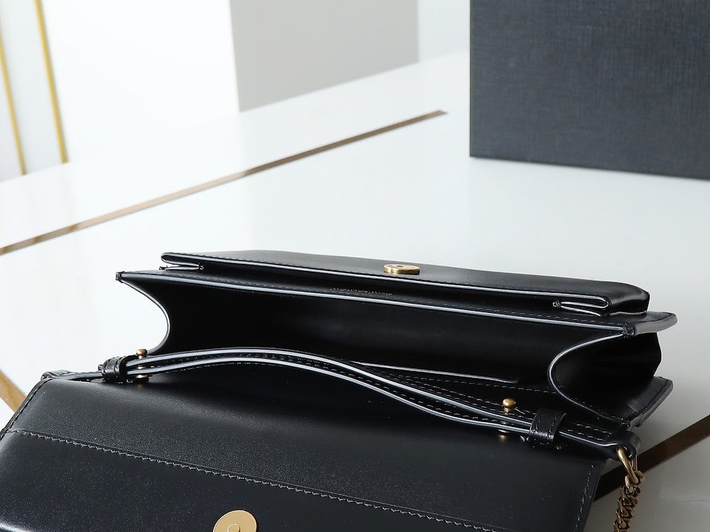 Dragons Bags YSLn Luxury Bag --119829