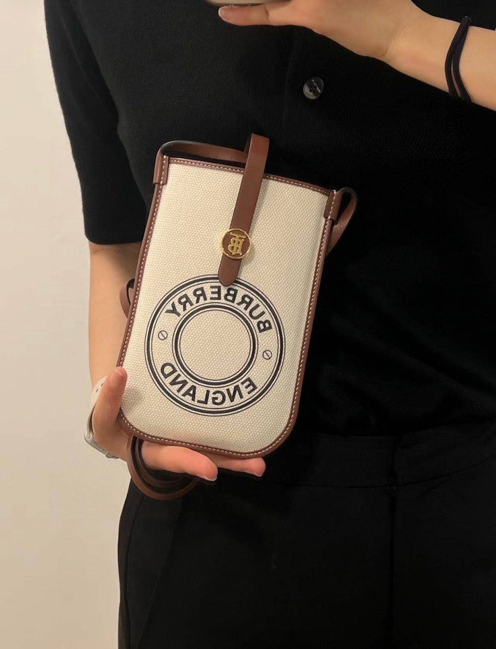 Dragons Bags Luxury Bag --50234