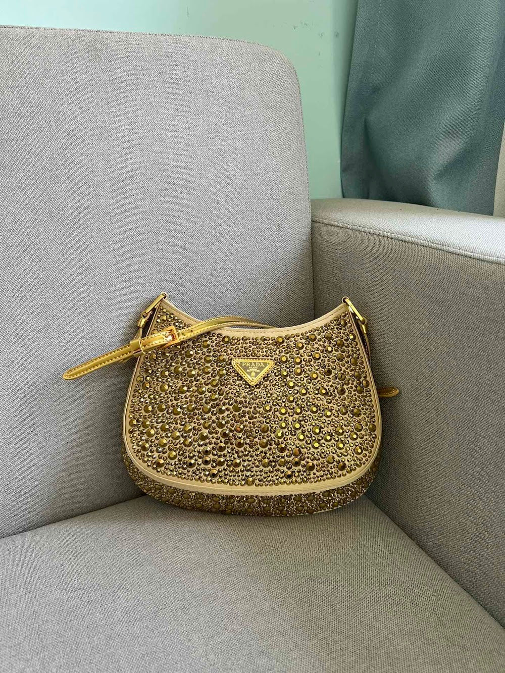 Dragons Bags Pradn Luxury Bag --102534
