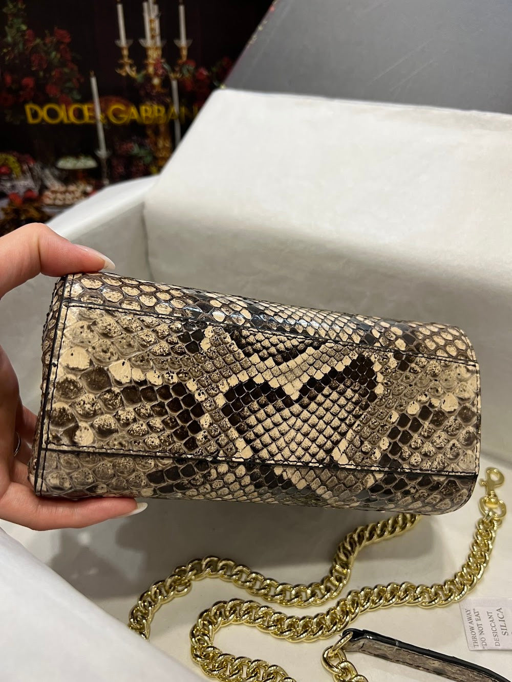 Dragons Bags DGn Luxury Bag --93287