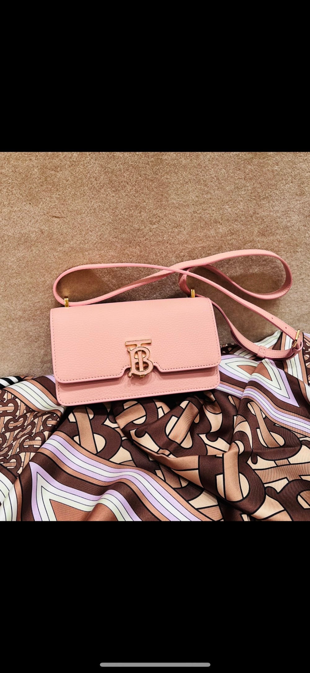 Dragons Bags Burberryn Luxury Bag --91648