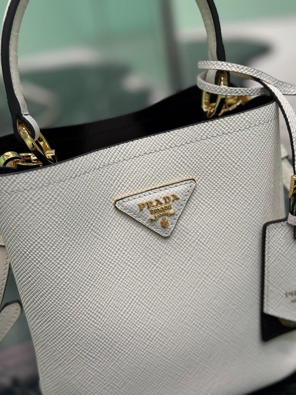 Dragons Bags Pradn Luxury Bag --102112