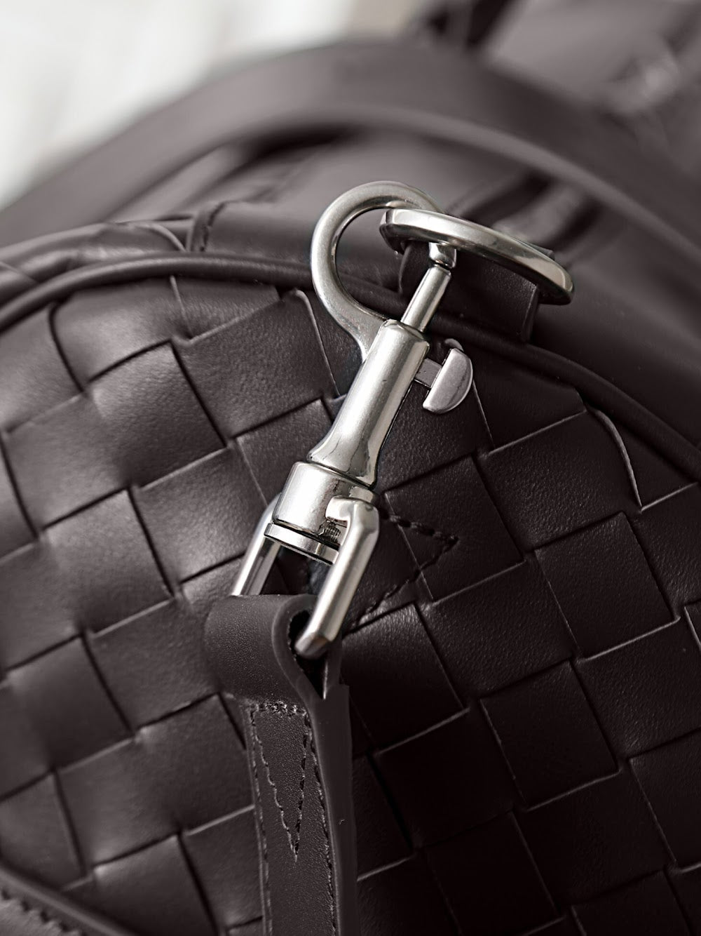 Dragons Bags Bottegan Luxury Bag --91415